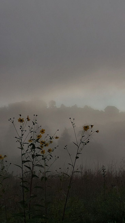 Welcoming Winter: A Season for Slowing Down