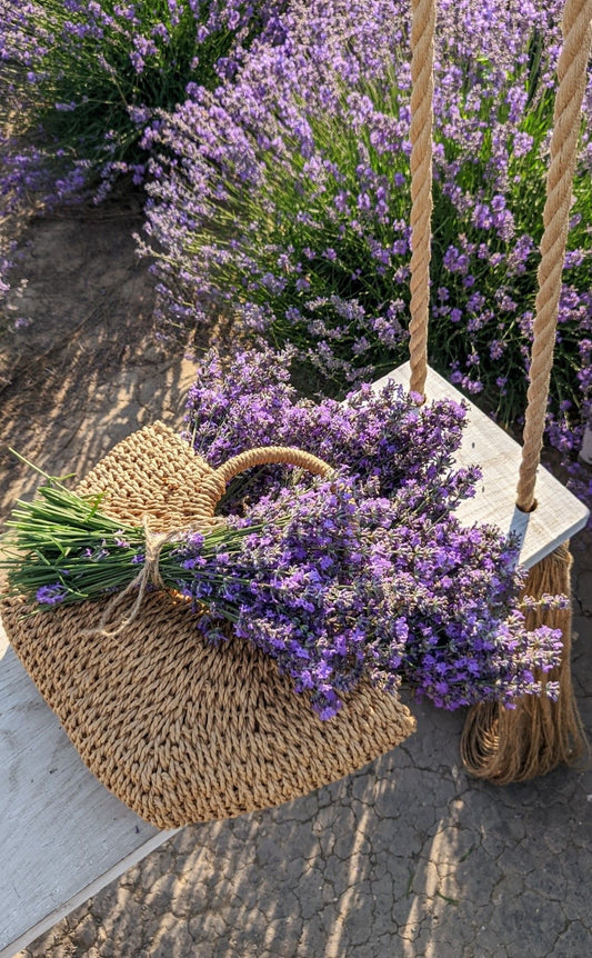 Lavender Love